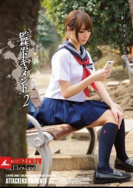 Confinement Document 2 Sakaguchi Mihono