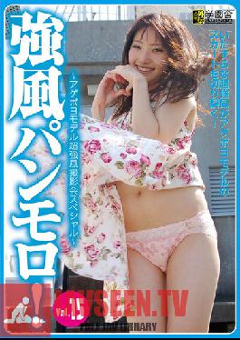 Studio Gakuen Sha Strong Winds Full-On Panty Shots! VOL.15 - Dope Shit Models Photo Session In Strong Winds Special -