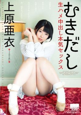 Serious Sex Uehara Ai Out Bare Live In Saddle