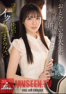 A Quiet Music College Student Is Targeted By A Train Molester And Can't Stop Cumming From The Pleasure That Goes Beyond Fear Rei Kuroshima