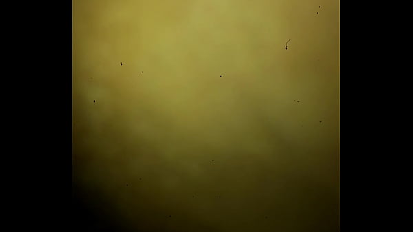 VID 20161022 212642