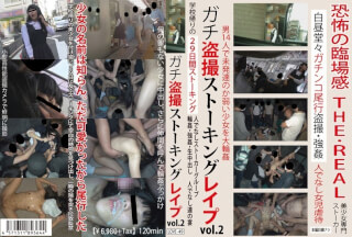 LOVE-049 ガチ盗撮ストーキングレプvol.2 (LOVE-49)
