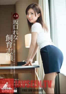 Married Sakaguchi Rena Breeding Applicants