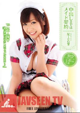 Studio Tenparamentaru To Pies Made Contract Onoe Young Leaves