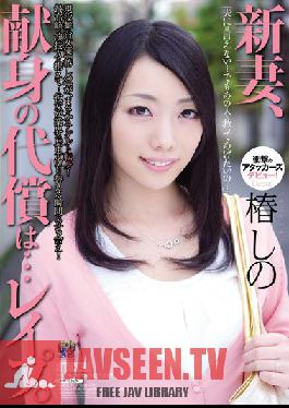 Studio Attackers - Newlywed Wife, The Reward For Your Devotion Is ... love! Shinto Tsubaki