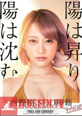 The Sun Rises And The Sun Sinks Sho Sho Nishino Resigned Within The Year Retirement Within The Year 15 Years, Legendary Actress Who Has Been Active On The Front Line What Do You Think Now ... Naked Document