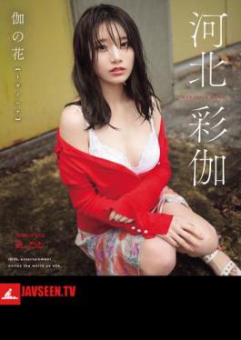 Flower Of Touhou Ayaka Kawakita (Blu-ray Disc)
