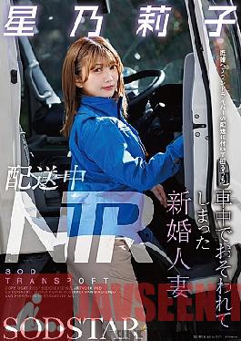 NTR During Delivery: A Newly Married Wife Was Attacked In The Car While Accompanying A Married Veteran Driver On A Delivery - Hoshino Riko