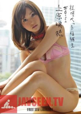 Mizuho Uehara # 011 Candidates Pet Obedience