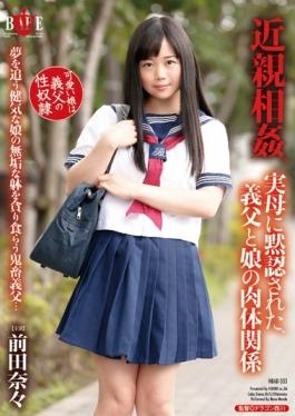 studio Hibino - Incest, Has Been Acquiescence To Mother, Father-in-law And Daughter Physica