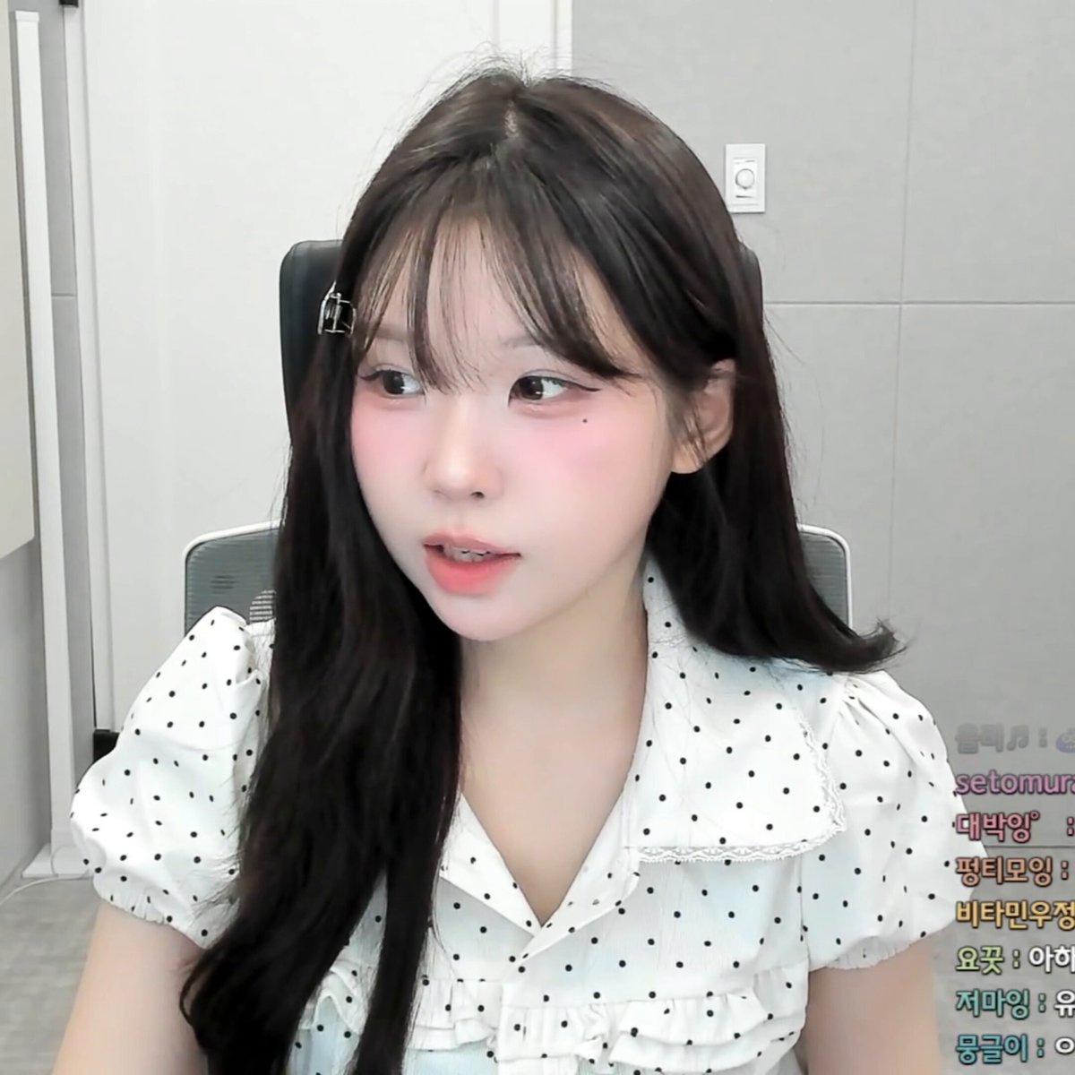 알파카