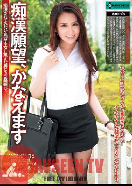 Studio EROTICA Molestation Wish Come True Rin Saotome