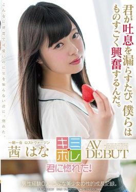 Akanehana AV DEBUT - SOD Create