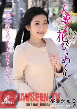 Peeling Back The Petals Of A Married Woman Kaede Momose